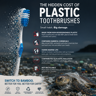Natural Boar Bristle & Bamboo Toothbrush