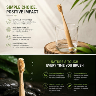 Natural Boar Bristle & Bamboo Toothbrush