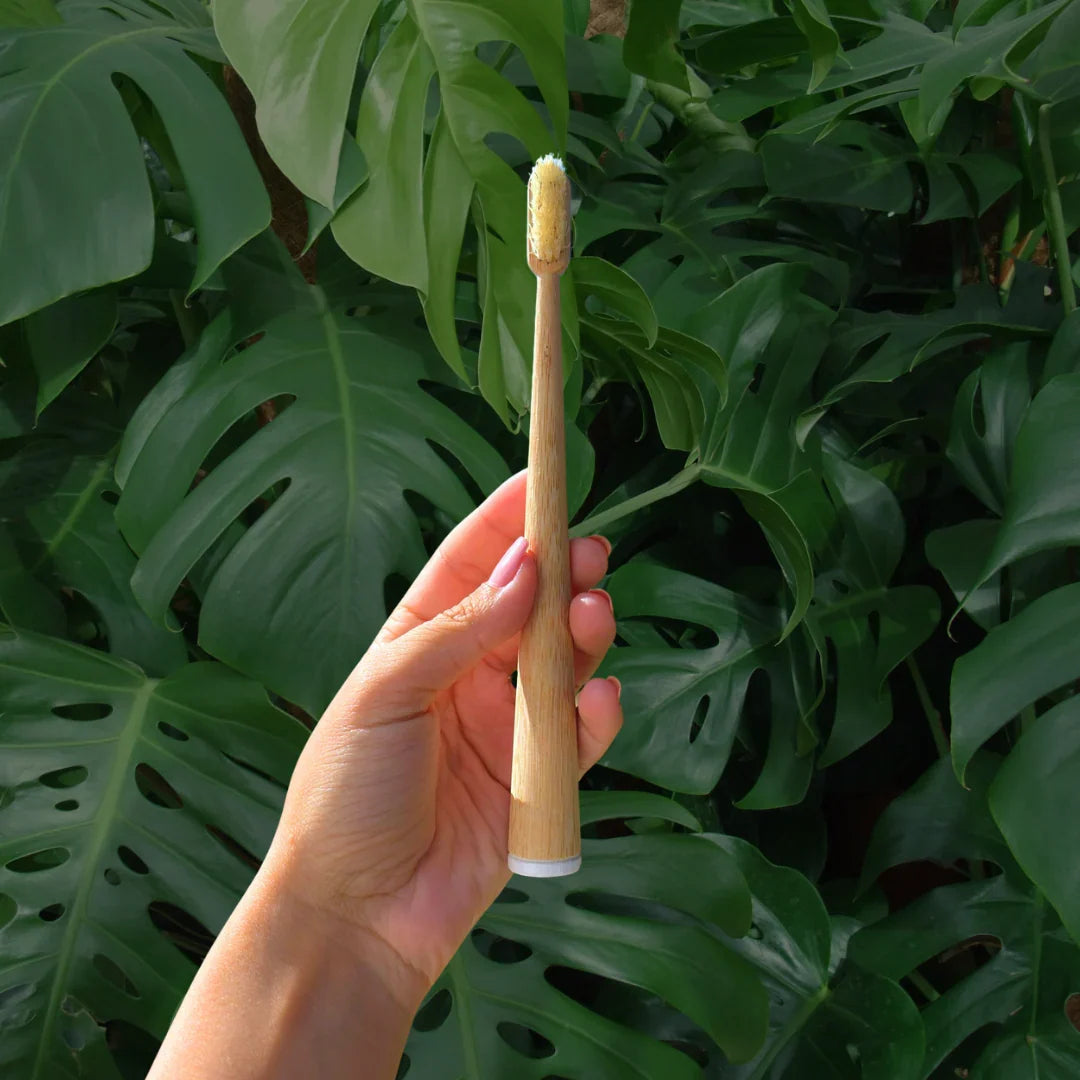 Mumzu bamboo toothbrush held in front of green leaves