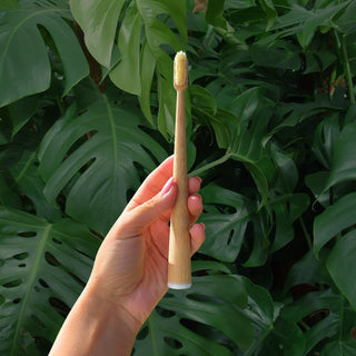 Natural Boar Bristle & Bamboo Toothbrush